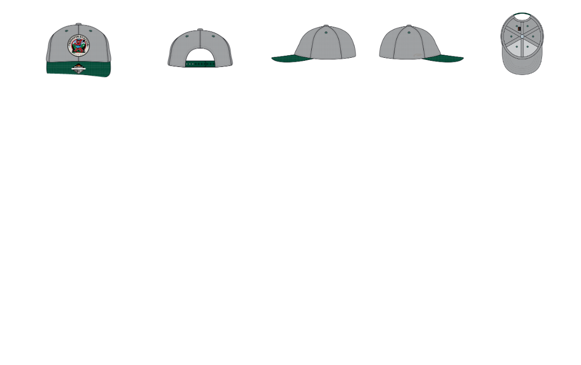 Patch Logo Snapback Hat - Gray Dome & Forest Green Visor